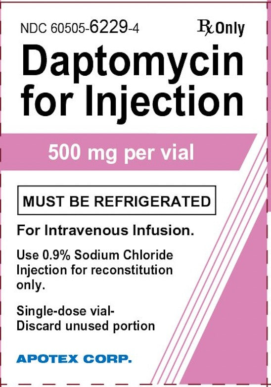 DAPTOMYCIN 500 MG