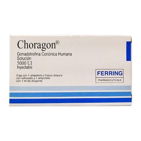 Choragon 5000ui sol iny 1amp