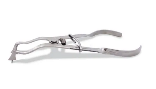 Porta Grapa Tipo Ivory