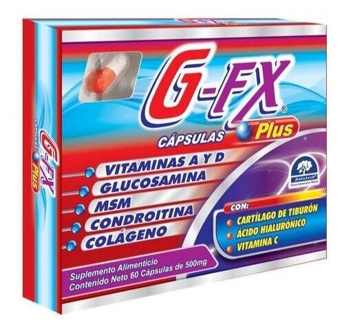 G-FX PLUS 60 CAP 500 MG