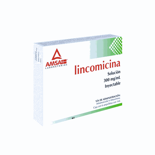 LINCOMICINA 6 AMP 300MG/1 ML