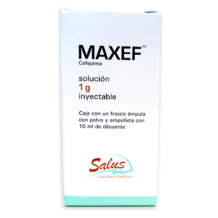 Maxef 1g Cja – Distribuidora Sta María